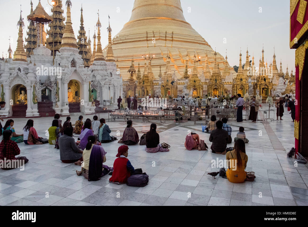 Anhänger des Buddha bieten ihre Gebete in den frühen Morgenstunden in der Shwedagon-Pagode Stockfoto