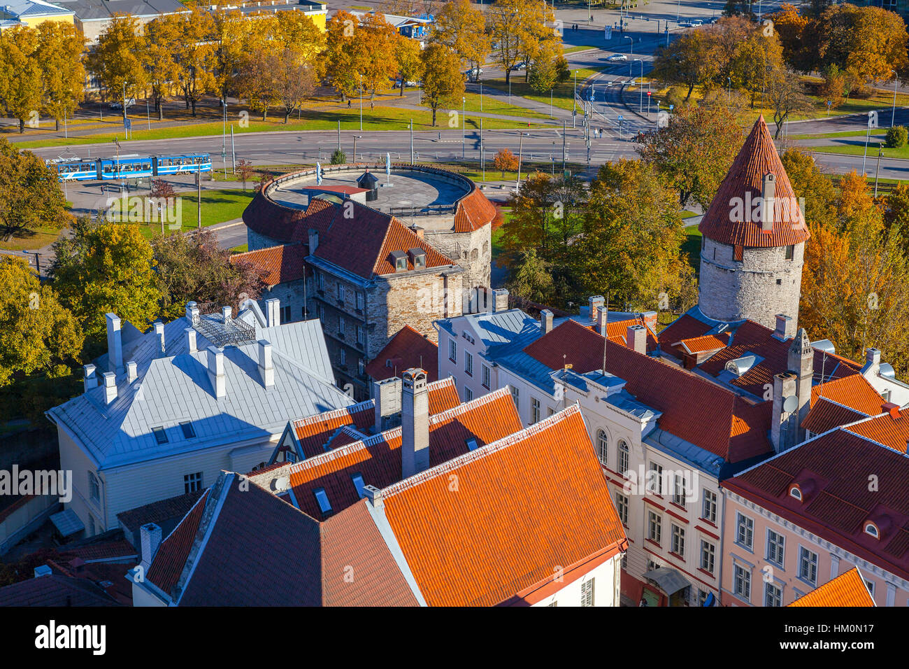 Schöne rote überdachte mittelalterliche Häuser und Türme der Altstadt Tallinn. Luftaufnahme, Herbstsaison. Stockfoto