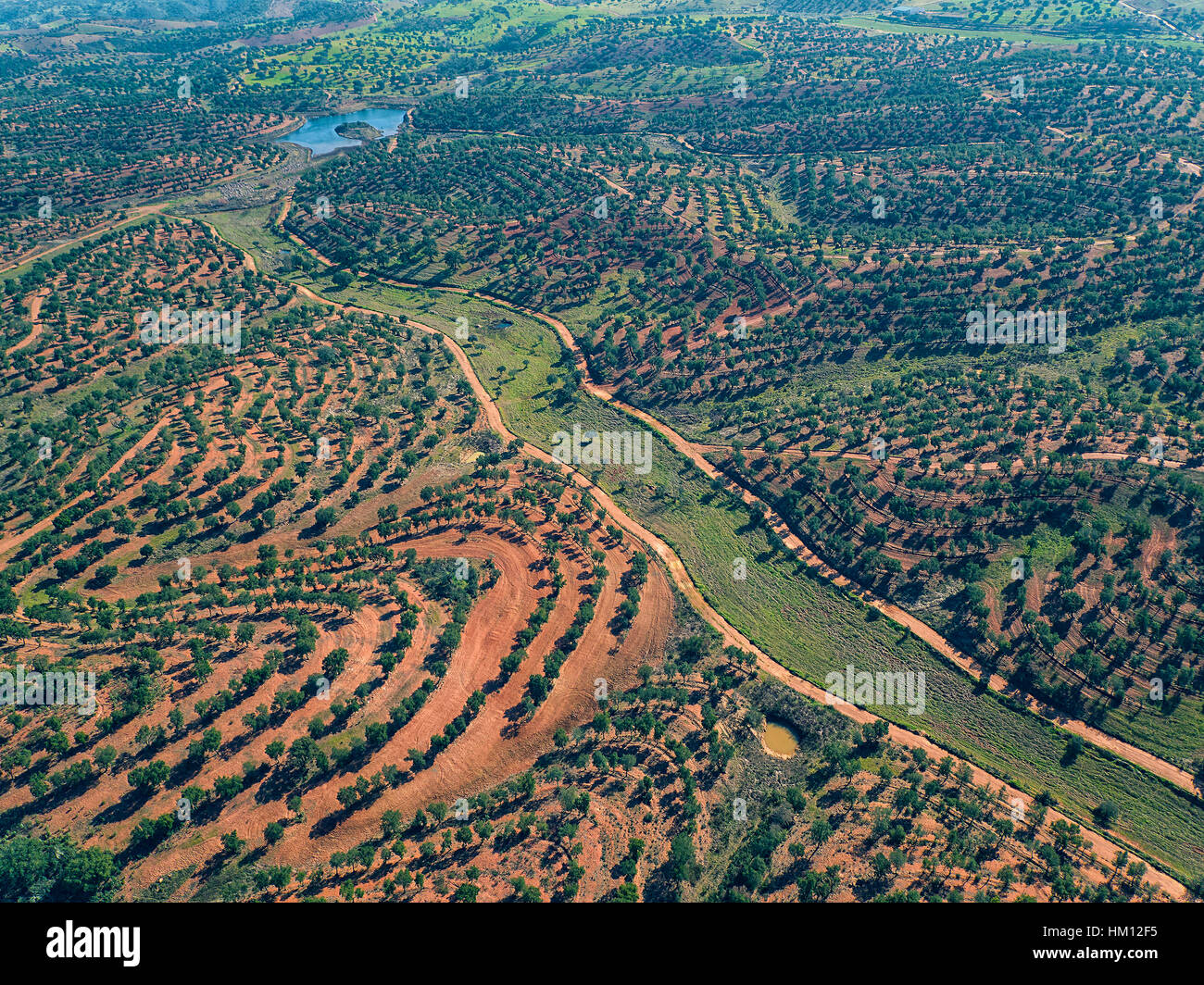 Luftbild-grüne Felder mit Bäumen, Portugal Stockfoto