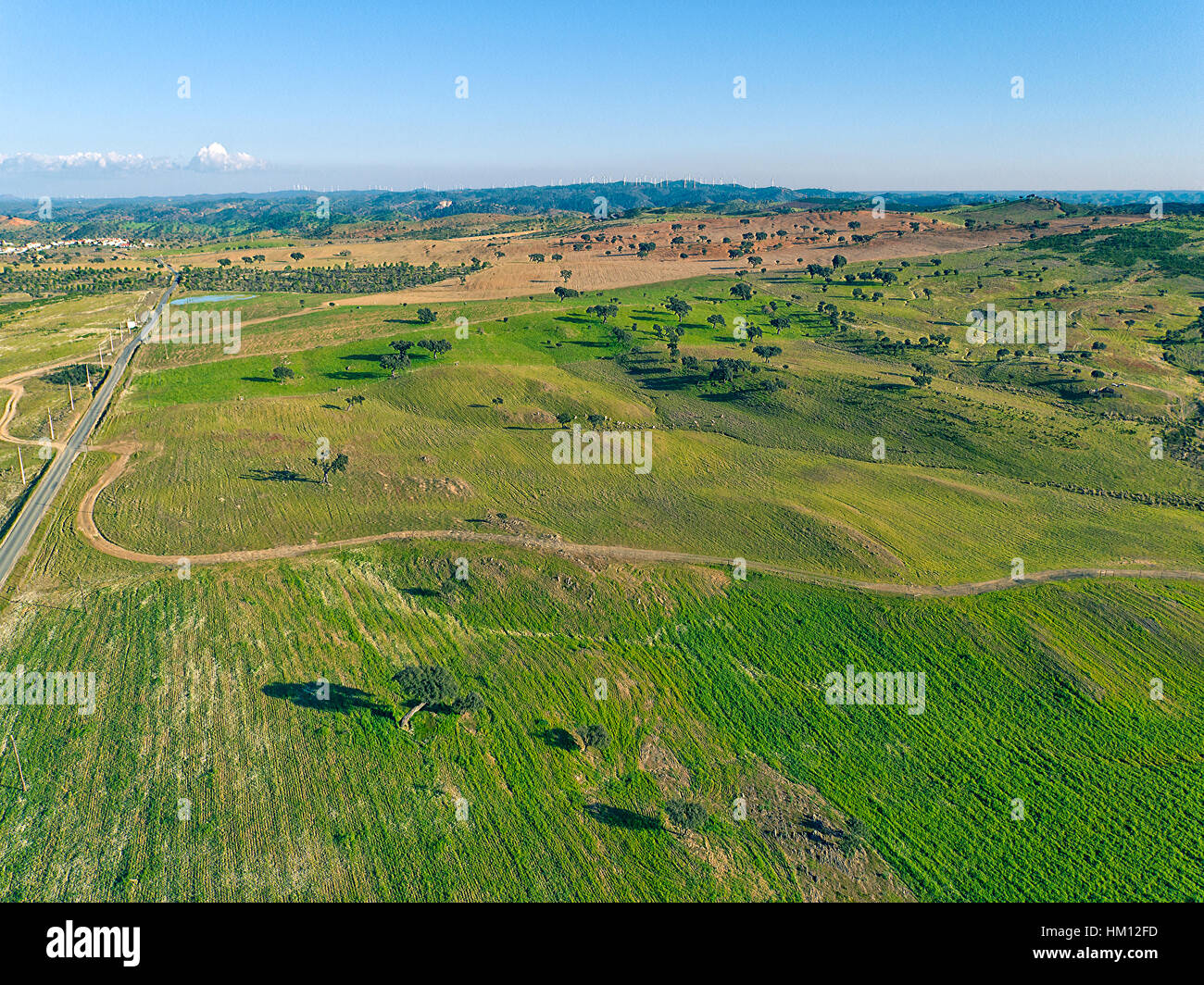 Luftbild-grüne Felder mit Bäumen, Portugal Stockfoto