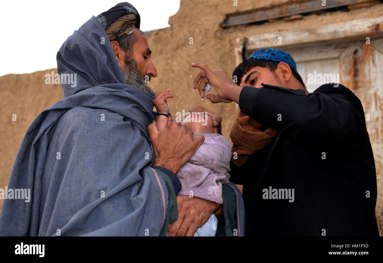 Ghazni, Afghanistan. 30. Januar 2017. Ein afghanische Kind erhält einen Polio-Impfstoff während einer Anti-Polio-Kampagne in der Provinz Ghazni, Afghanistan, 30. Januar 2017. Afghanistan eine Impfkampagne gegen Polio-Virus angepfiffen, als das Land zu kämpfen, die ansteckende Krankheit auszurotten, sagte das Ministerium für öffentliche Gesundheit am Montag. Bildnachweis: Sanaullah Seim/Xinhua/Alamy Live-Nachrichten Stockfoto