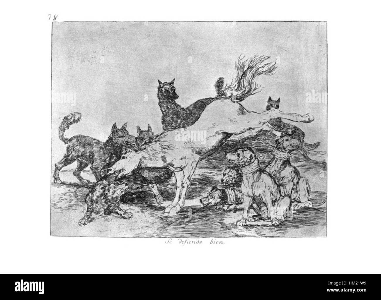 Goya-Guerra (78) ist ein Ölgemälde von Francisco Goya, das eine mächtige Szene von Krieg und menschlichem Leid darstellt. Goyas Arbeit erfasst die harten Realitäten des Konflikts und repräsentiert oft die Grausamkeiten und Folgen des Krieges. Stockfoto