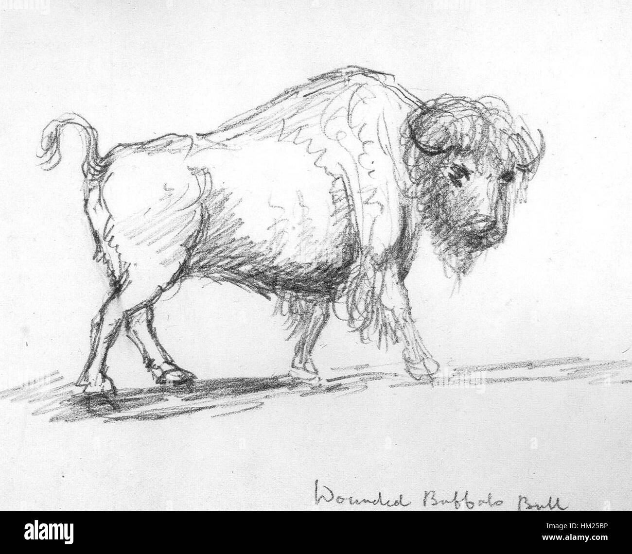 Kane Bulls Kunstwerk stellt eine Mischung aus modernem künstlerischem Ausdruck und traditionellen Techniken dar. Dieses Gemälde ist bekannt für seine komplizierten Details und seine emotionale Tiefe und spiegelt seinen einzigartigen Stil wider. Das Stück wird in Galerien und Kunstsammlungen gefeiert und zeigt Bulls Beitrag zur zeitgenössischen Kunst. Stockfoto
