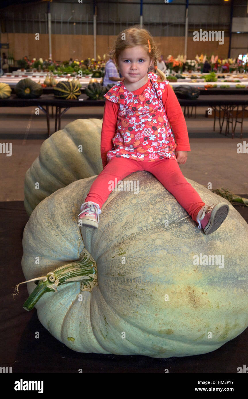 Riesige Zucchini mit jungen Mädchen auf der Bundesgartenschau, Shepton Mallet, UK Stockfoto