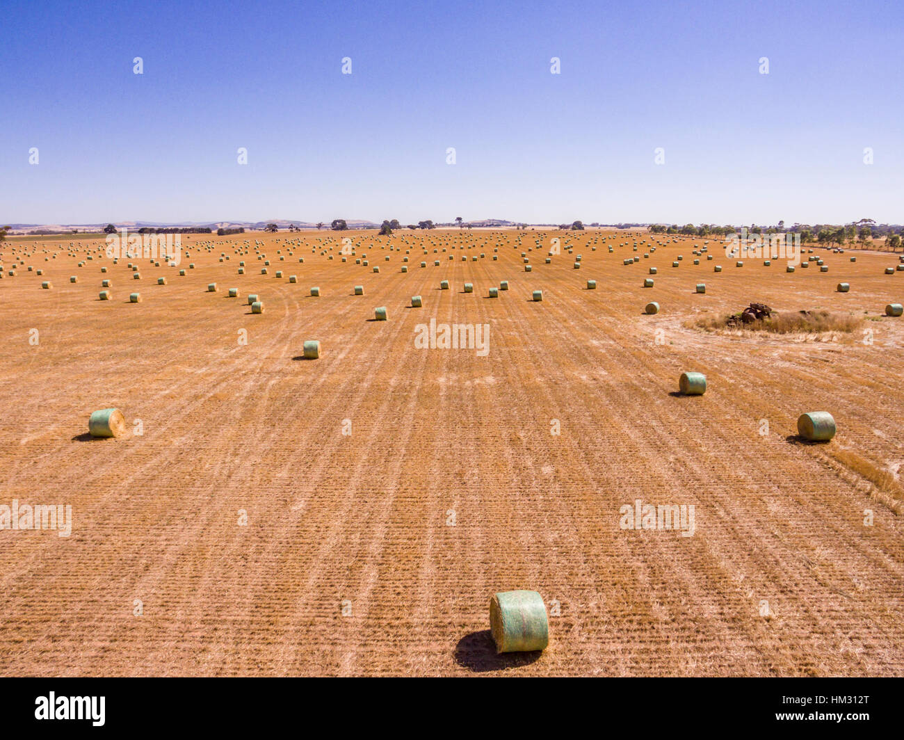 Heuballen im Feld in Australien geerntet gerollt Stockfoto