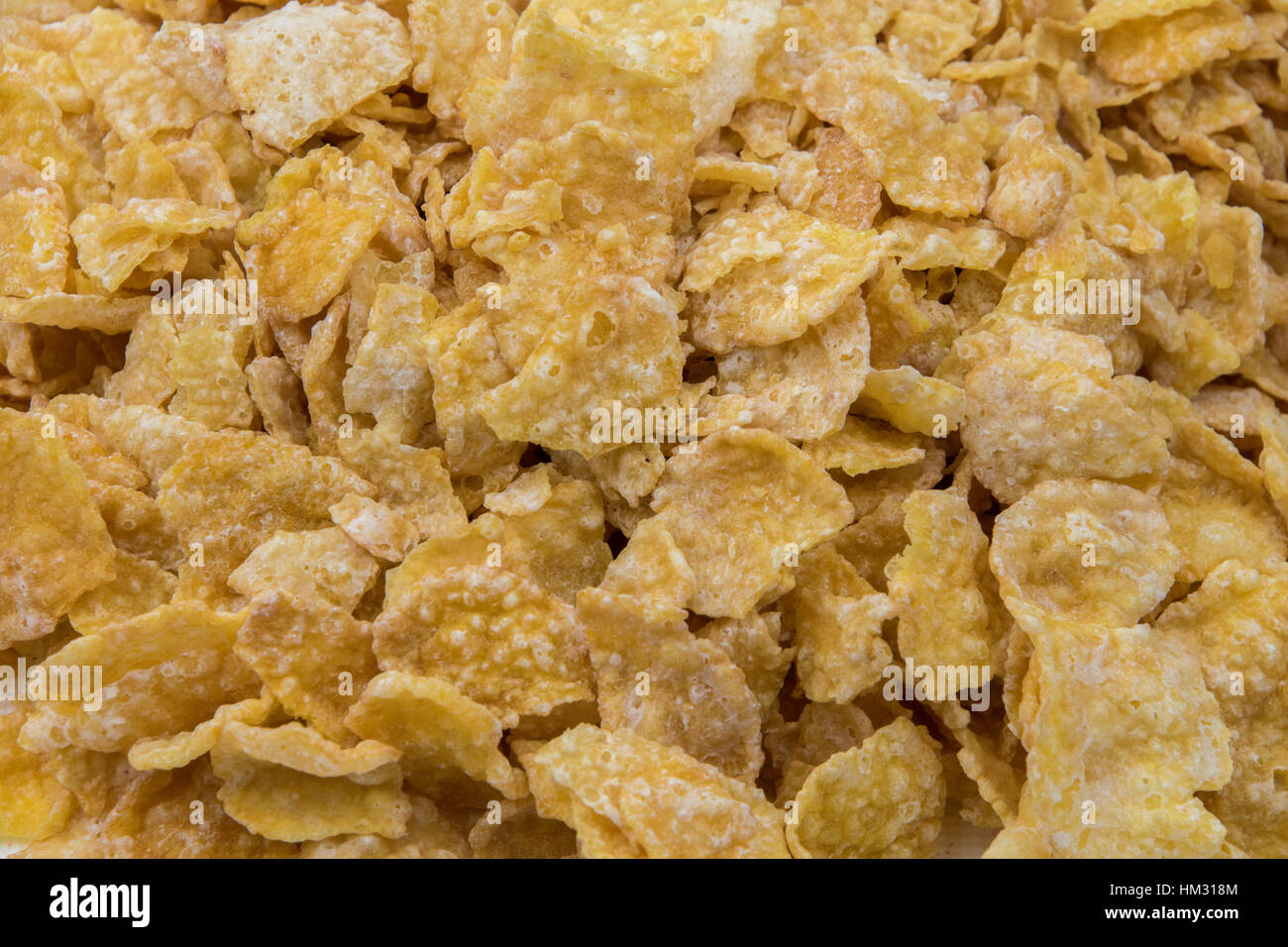 Nahaufnahme von satiniertem Cornflakes Frühstück Getreide Stockfoto