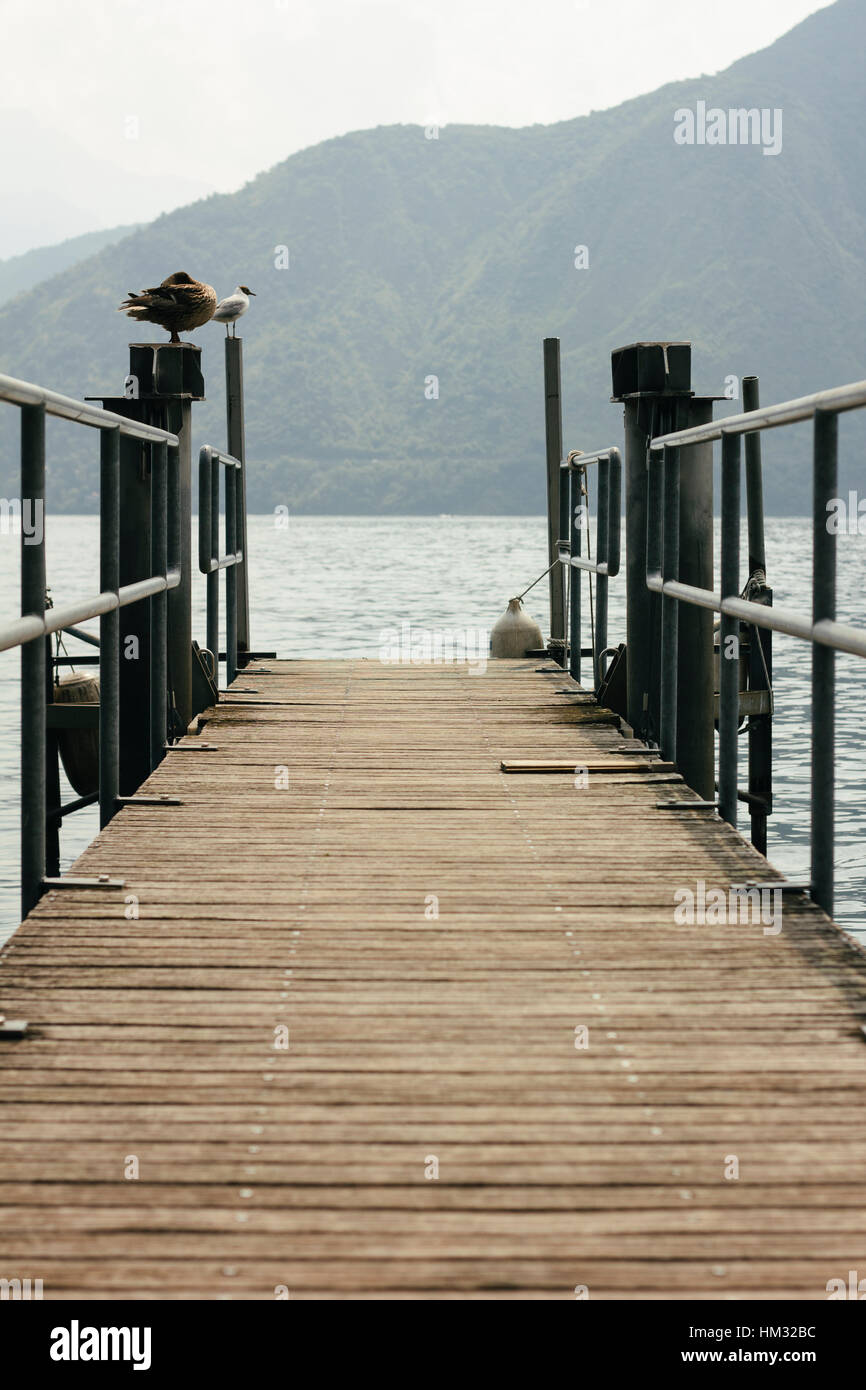 Vögel sitzen auf den Post von einer hölzernen Pier in Tremezzo am Comer See mit den Bergen im Hintergrund. Comer see, Italien Stockfoto