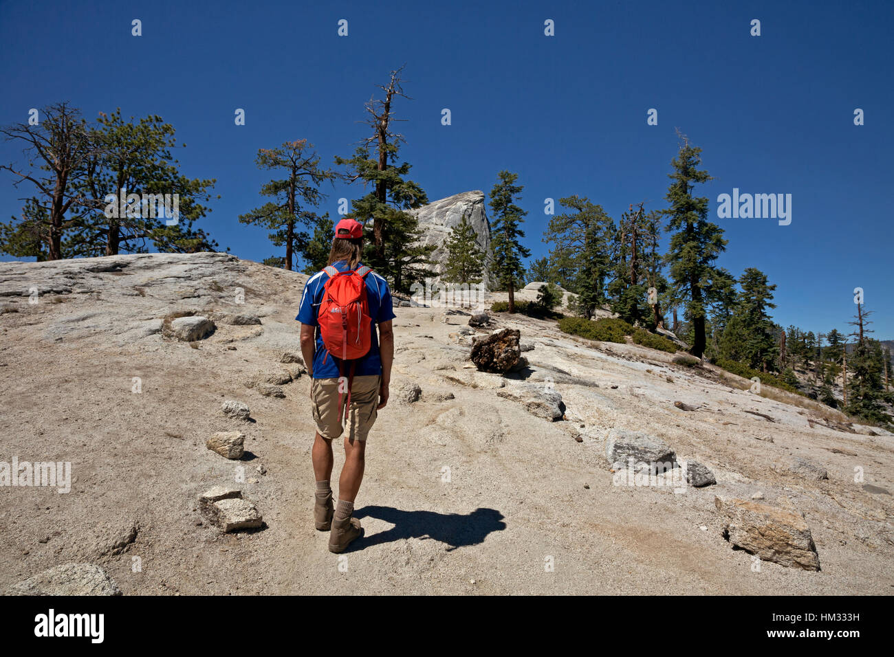 CA02964-00... Kalifornien - Wanderer auf den Spuren auf der Basis des Half Dome im Yosemite National Park. Stockfoto