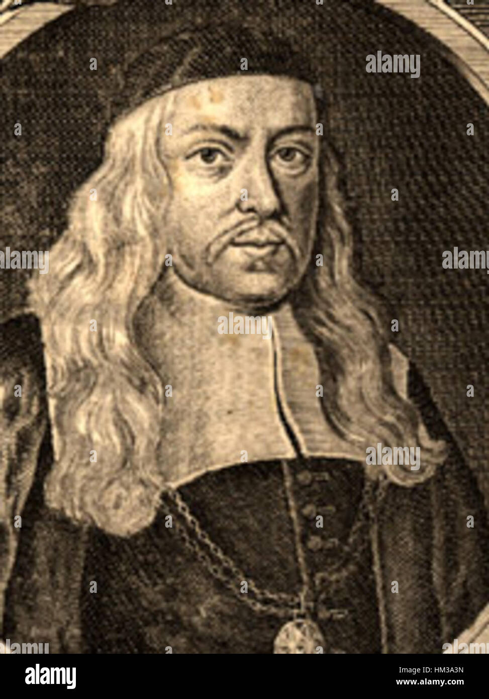 Das Detail von Hermann Conrings Arbeit konzentriert sich auf medizinische oder anatomische Illustrationen mit einem starken historischen und pädagogischen Kontext. Seine Werke verbinden oft wissenschaftliche Themen mit Präzision im Detail und tragen so zum wissenschaftlichen Wissen des 17. Jahrhunderts bei. Stockfoto