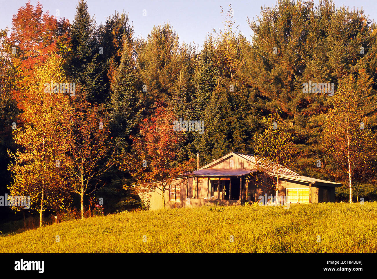 Rustikale Lager Kabine, umgeben von Wald und Herbstfarben am späten Nachmittag in Groton, VT, USA. Stockfoto