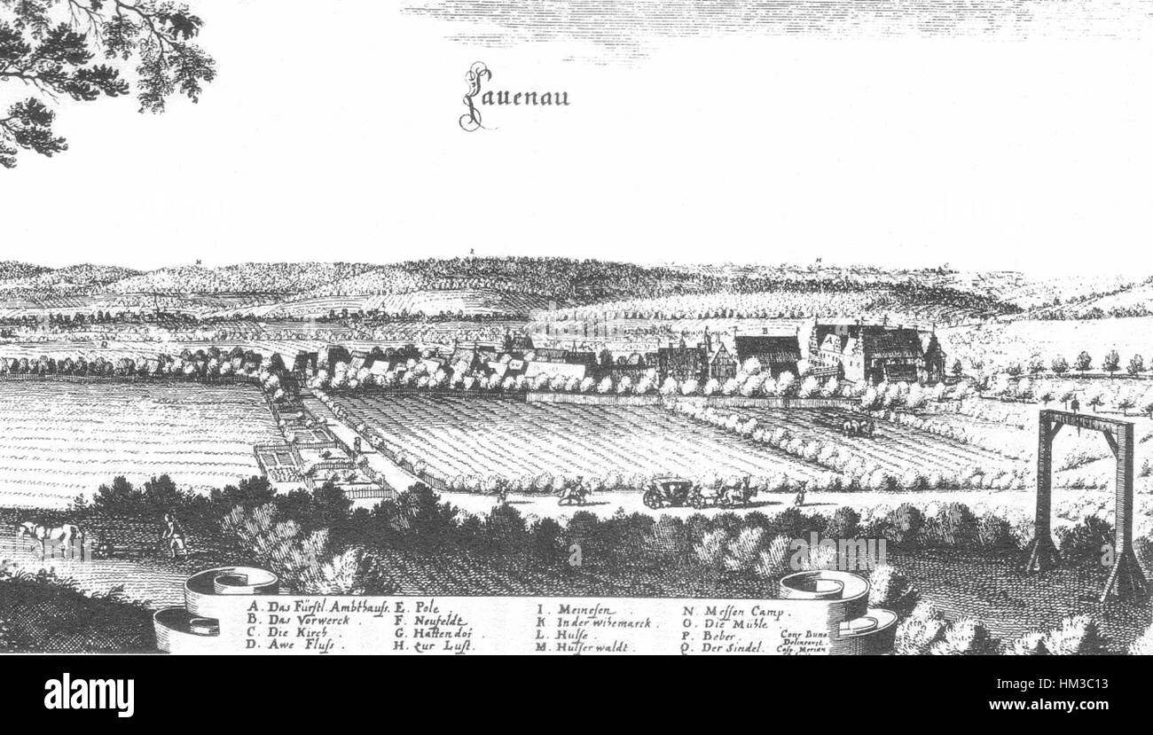 Ein Kunstwerk von Lauenau Merian, bekannt für seine akribischen botanischen Illustrationen. Dieses Stück spiegelt wahrscheinlich den detaillierten Ansatz des Künstlers wider, die Schönheit und Feinheiten der Natur einzufangen und einen Einblick in die historische botanische Kunst zu bieten. Stockfoto