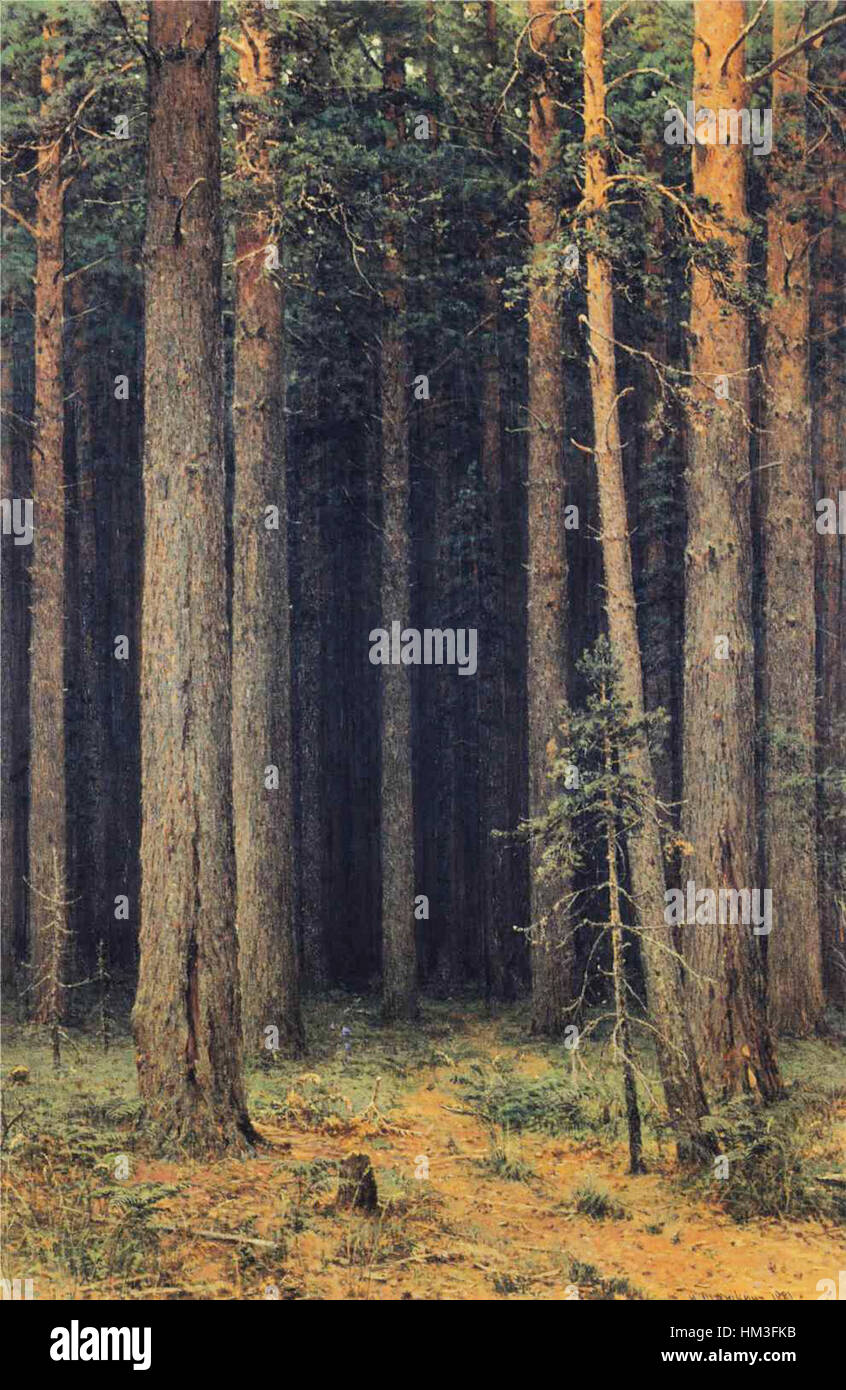 „Forest Reserve, Pine Grove“ von Ivan Shishkin ist ein ikonisches russisches Landschaftsgemälde, das eine dichte Waldszene mit hoch aufragenden Bäumen und üppigem Grün zeigt. Das Kunstwerk wird für seine realistische Darstellung der Natur gefeiert, die charakteristisch für Shishkins landschaftliche Meisterschaft ist. Stockfoto