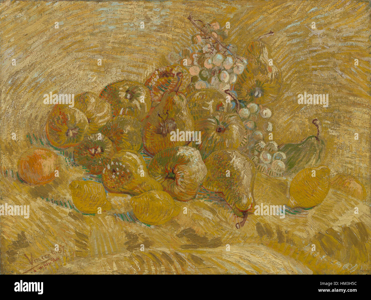 Kweeperen, Citroenen, Peren En Druiven - s0023V1962 - Van-Gogh-Museum Stockfoto