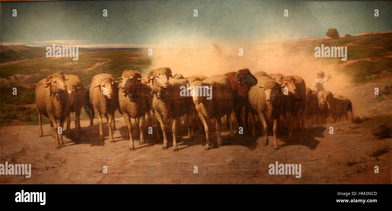 Joudan-Troupeau de Moutons de Avantgarde du troupeau Stockfoto