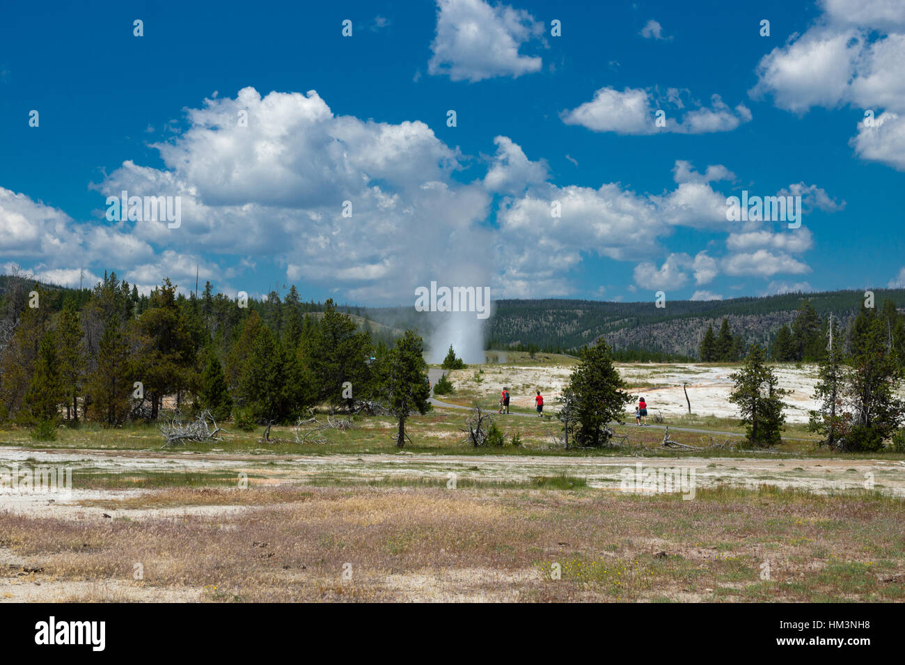 Daisy Geysir, Upper Geyser Basin, Yellowstone-Nationalpark, Wyoming, USA Stockfoto