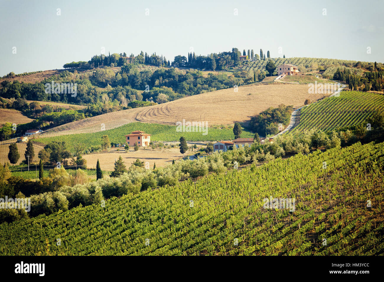 Blick durch die Weinberge mit Steinhaus, Tuscany Hill, Italien Stockfoto