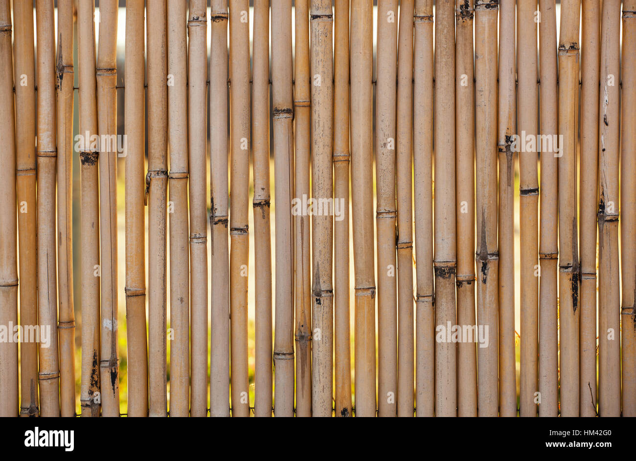 Nahaufnahme des Bambus Zaun Hintergrund am Strand. Stockfoto
