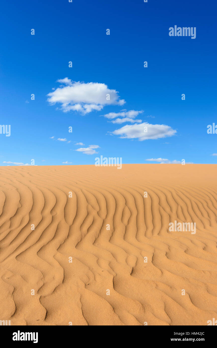 Sand-Muster bei Perry Sandhills, in der Nähe von Wentworth, New South Wales, Australien Stockfoto