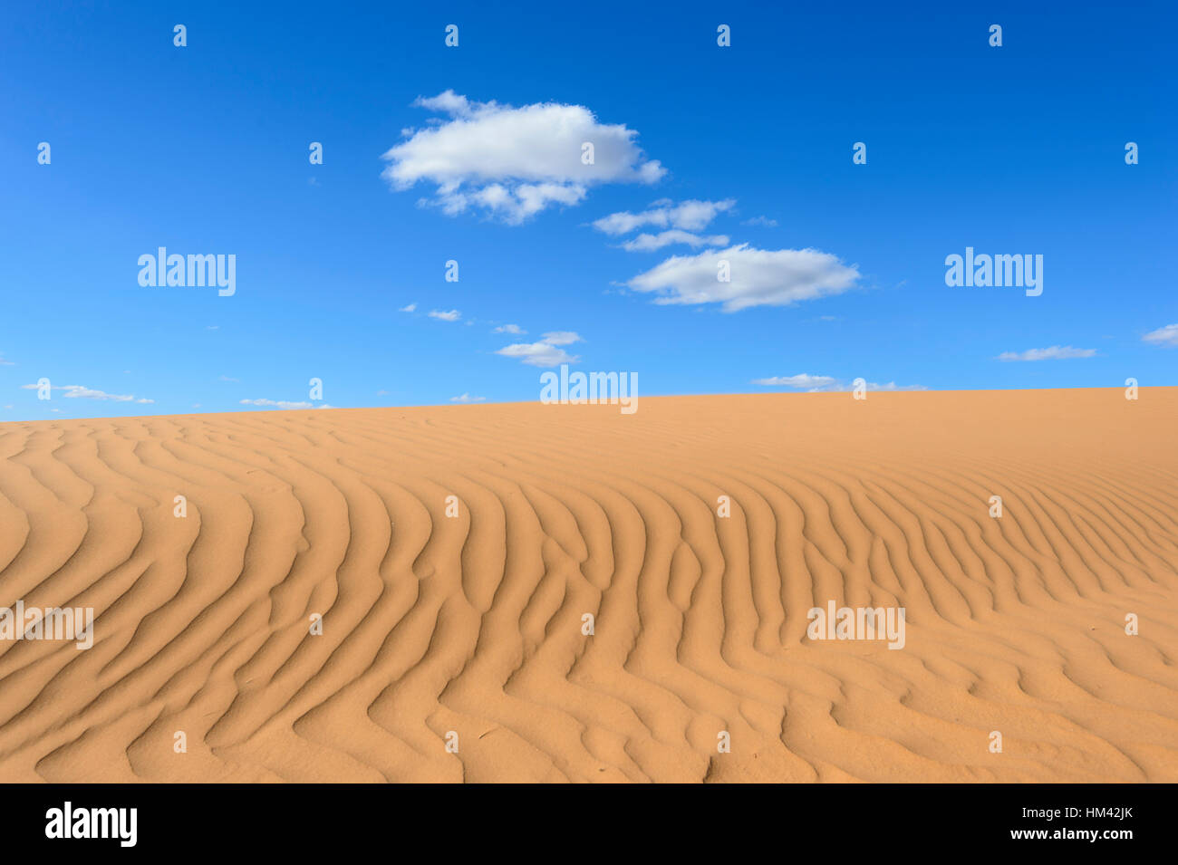 Sand-Muster bei Perry Sandhills, in der Nähe von Wentworth, New South Wales, Australien Stockfoto