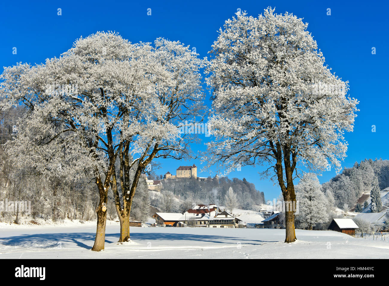 Gruyeres Schloss hinter frostigen Bäumen an einem kalten Wintertag, Gruyères, Schweiz Stockfoto