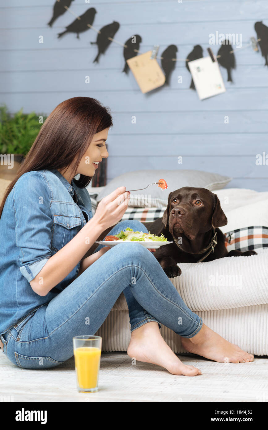 Süßes froh Mädchen bietet ihrem Haustier eine Kleinigkeit Stockfoto