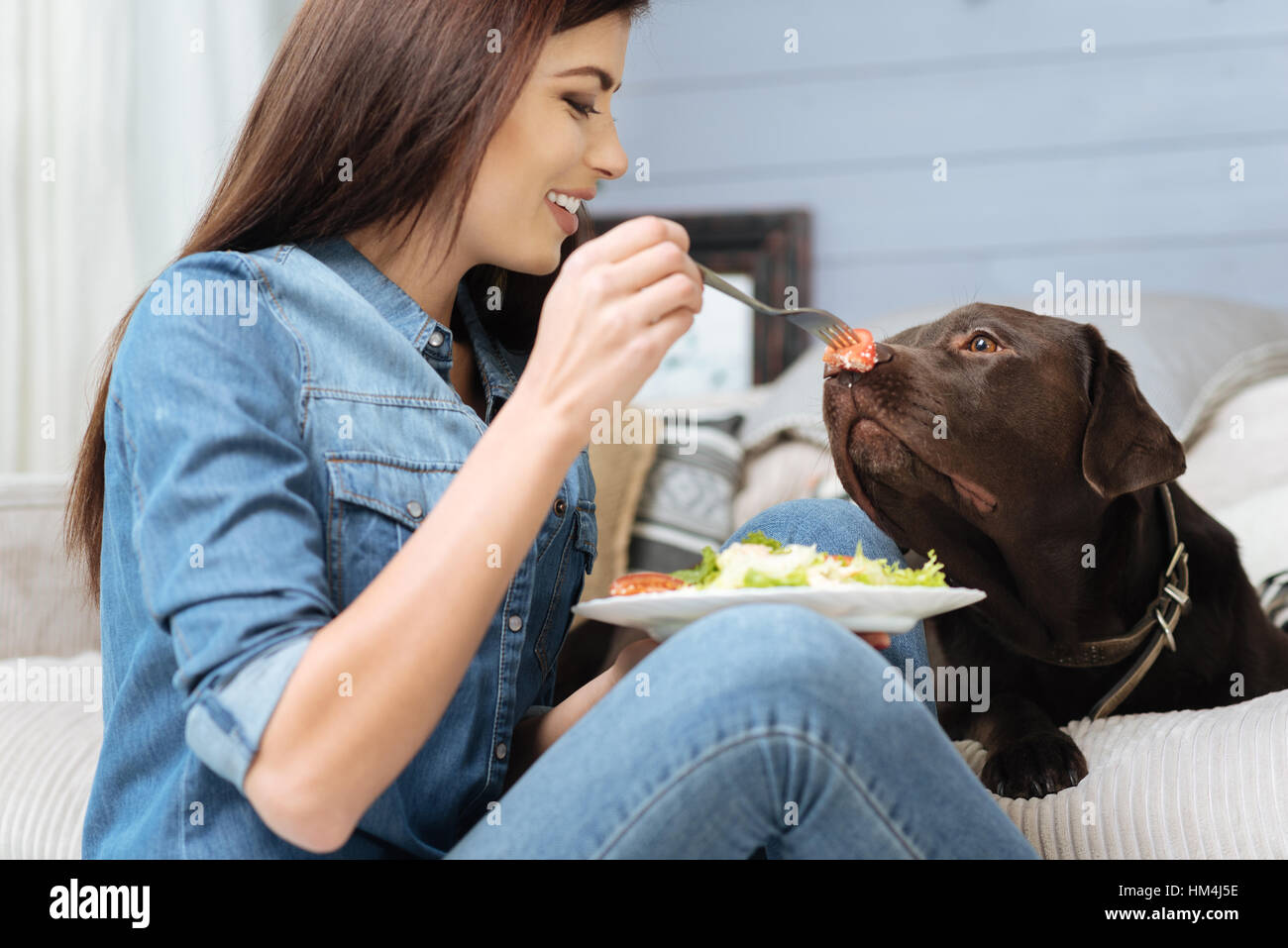 Lustige hübsches Mädchen necken ihr Hund Stockfoto