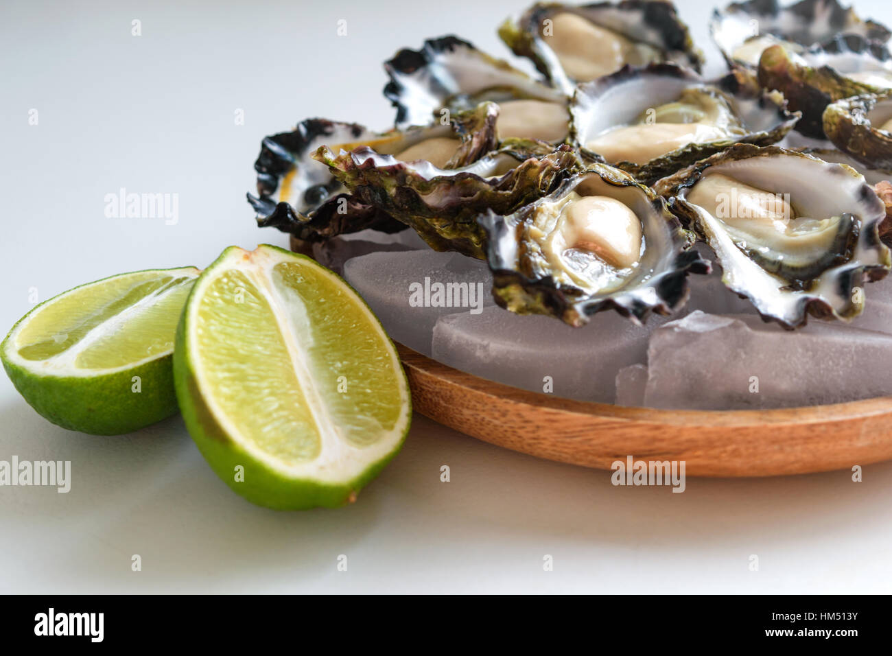 Frisch ausgelöster Sydney Rock Oyster Stockfoto