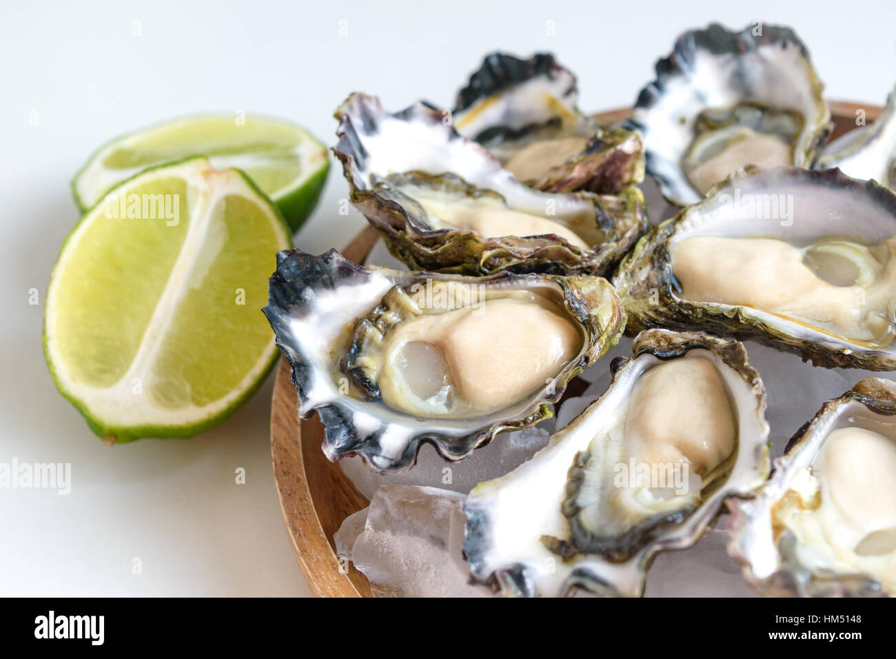 Frisch ausgelöster Sydney Rock Oyster Stockfoto