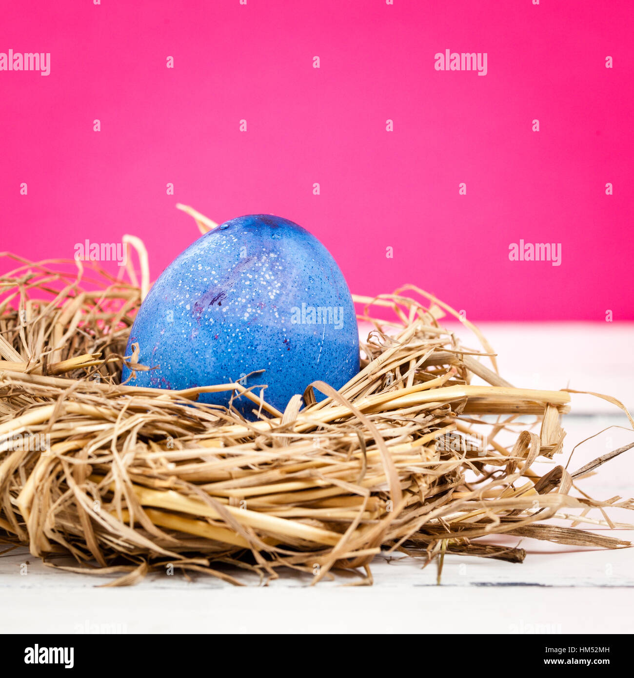 blau gefärbt Ester Ei in einem Vogelnest mit rosa Hintergrund Stockfoto