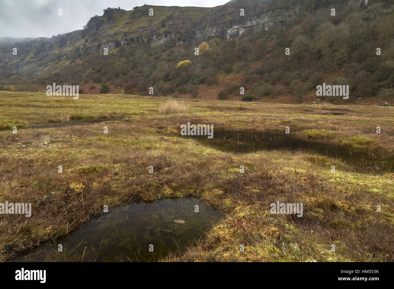 Waen Ddu angehoben Moor, im Herbst, Craig y Cilau National Nature Reserve, Brecon Beacons, Wales. Stockfoto
