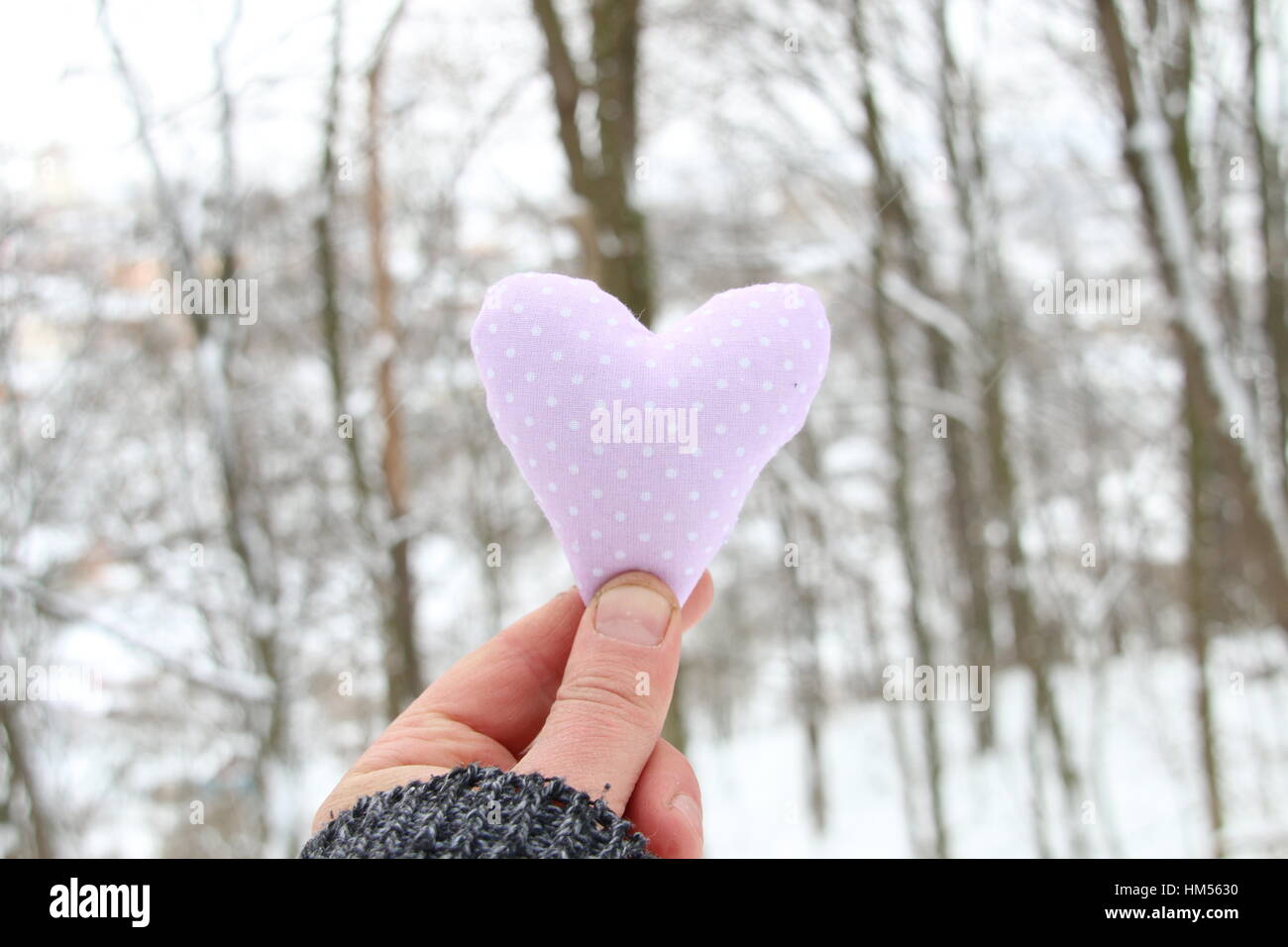 Winter, Liebe oder Valentinstag-Konzept. Hand hält ein Herz auf dem Hintergrund des Waldes Stockfoto