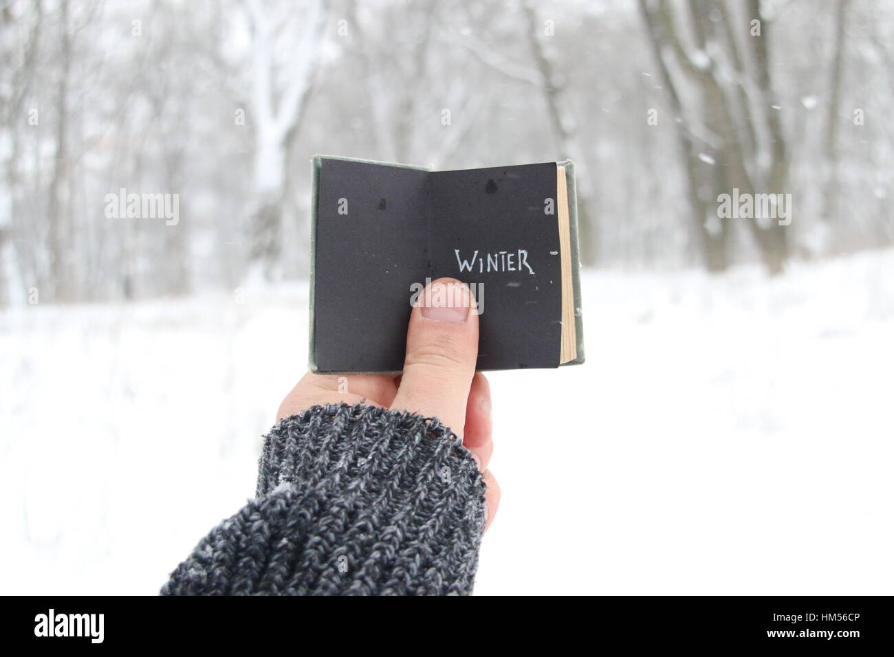 Vintage Buch mit Inschrift Stockfoto