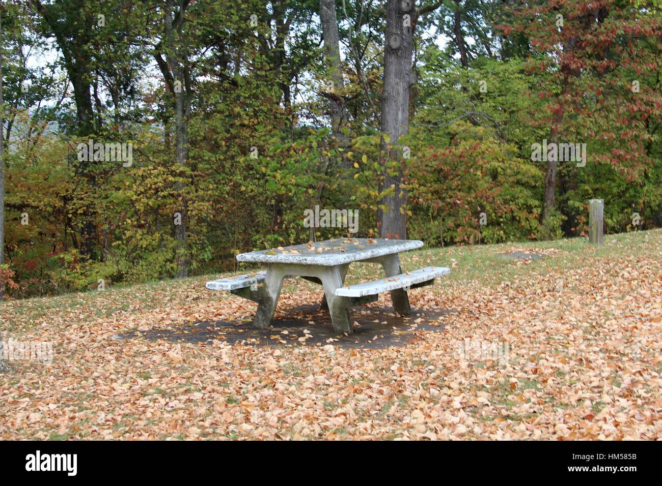 Das Herbstlaub rund um die leeren Picknicktisch. Stockfoto