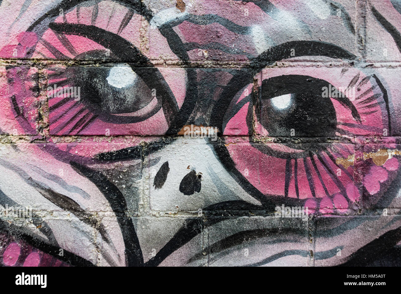 Street Art Closeup im baltischen Dreieck, Liverpool Stockfoto