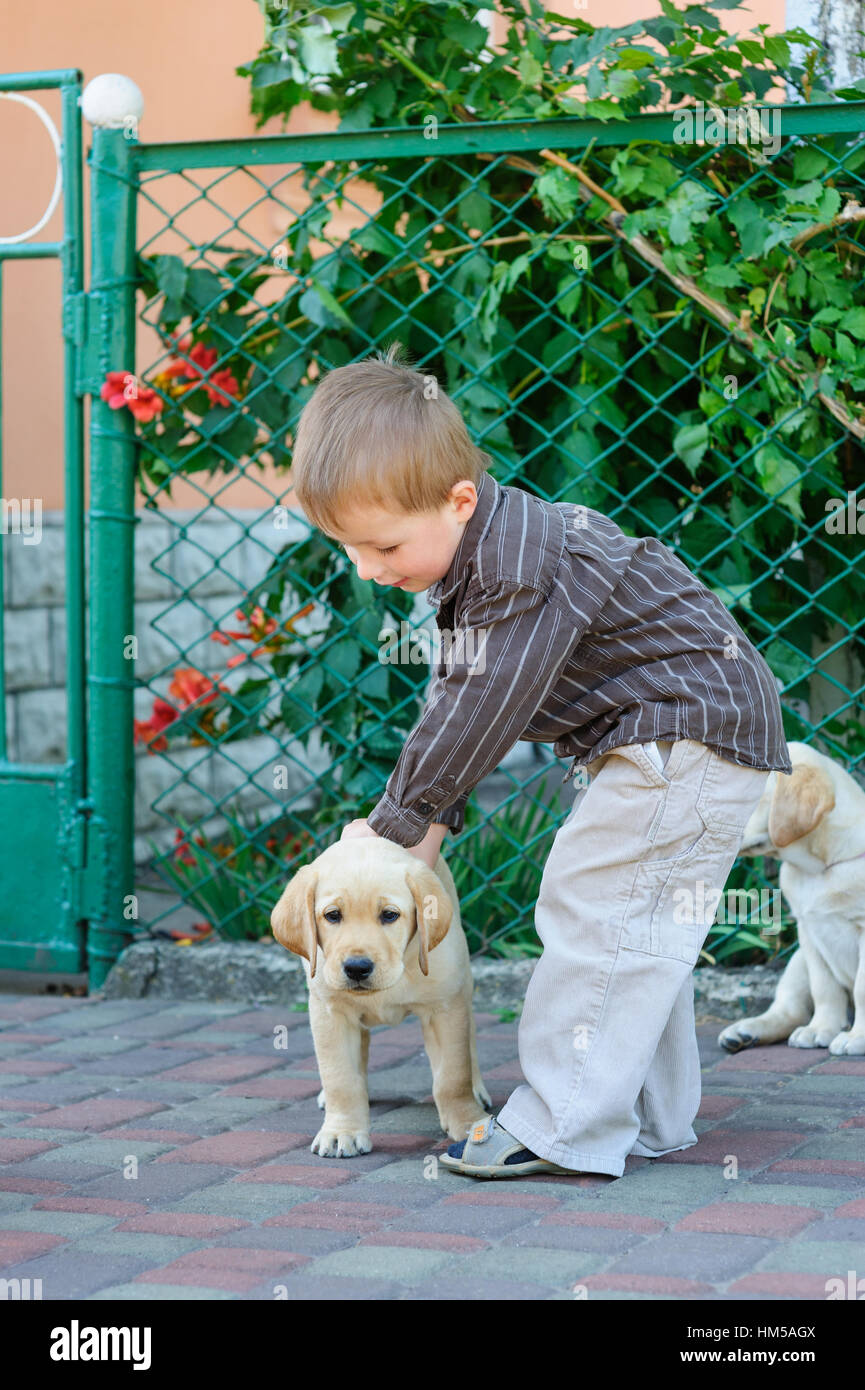 kleiner Junge spielt mit einem Labrador Welpen im park Stockfoto