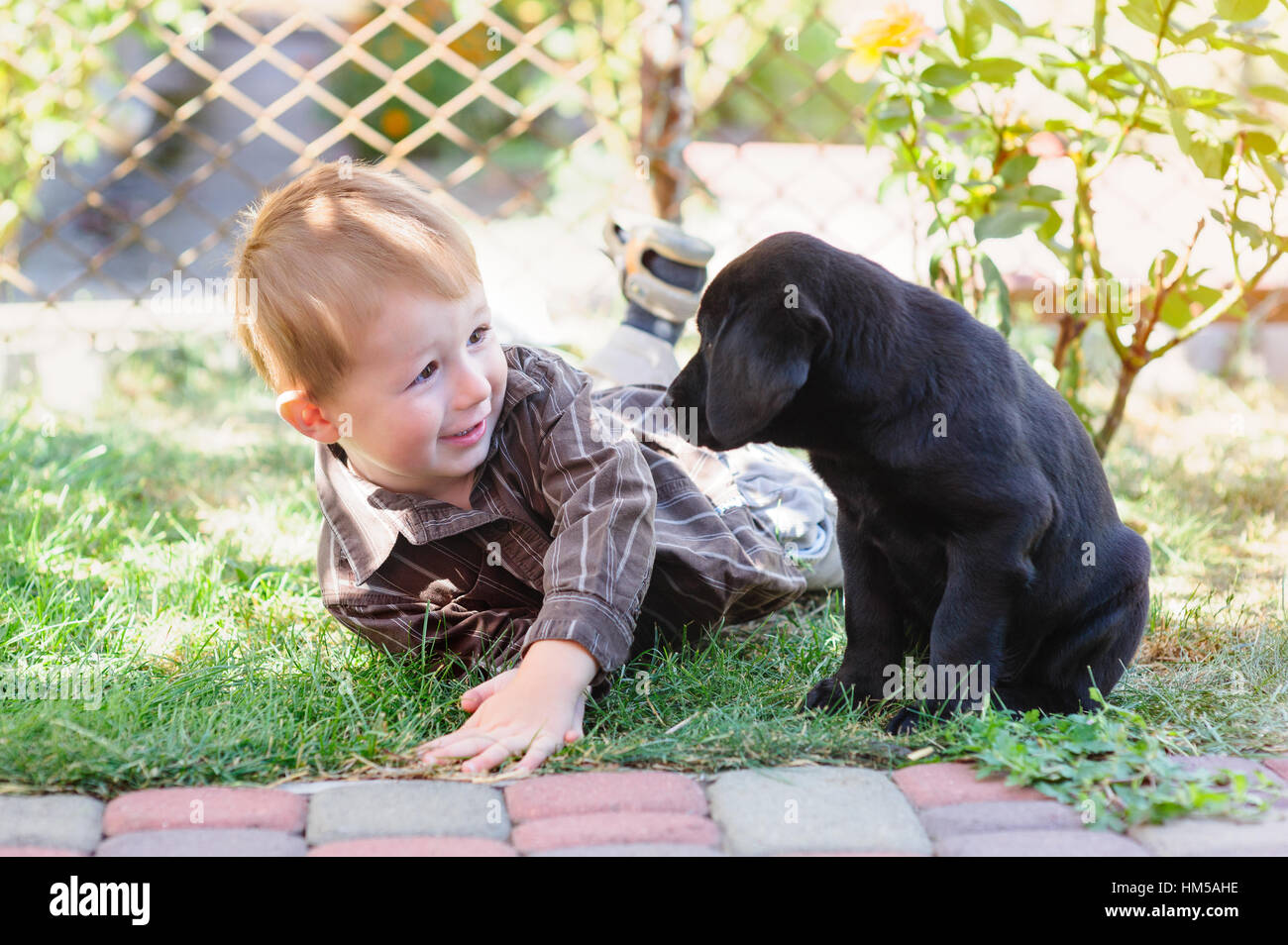 kleiner Junge spielt mit einem Labrador Welpen im park Stockfoto