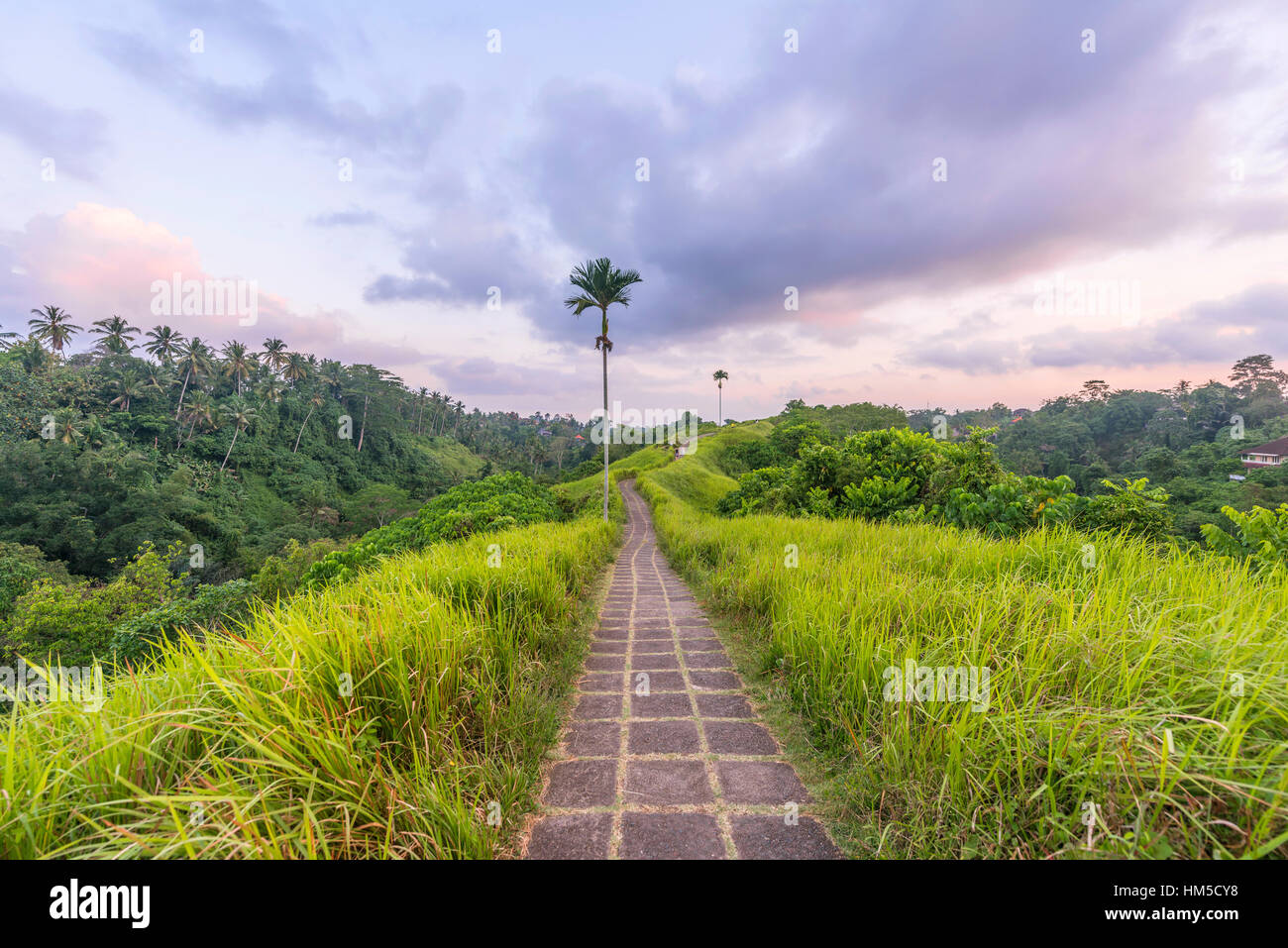 Gepflasterten Weg durch tropische Vegetation, Campuhan Grat wandern, Bukit Campuhan, Tjampuhans heiligen Hügeln, Ubud, Bali, Indonesien Stockfoto