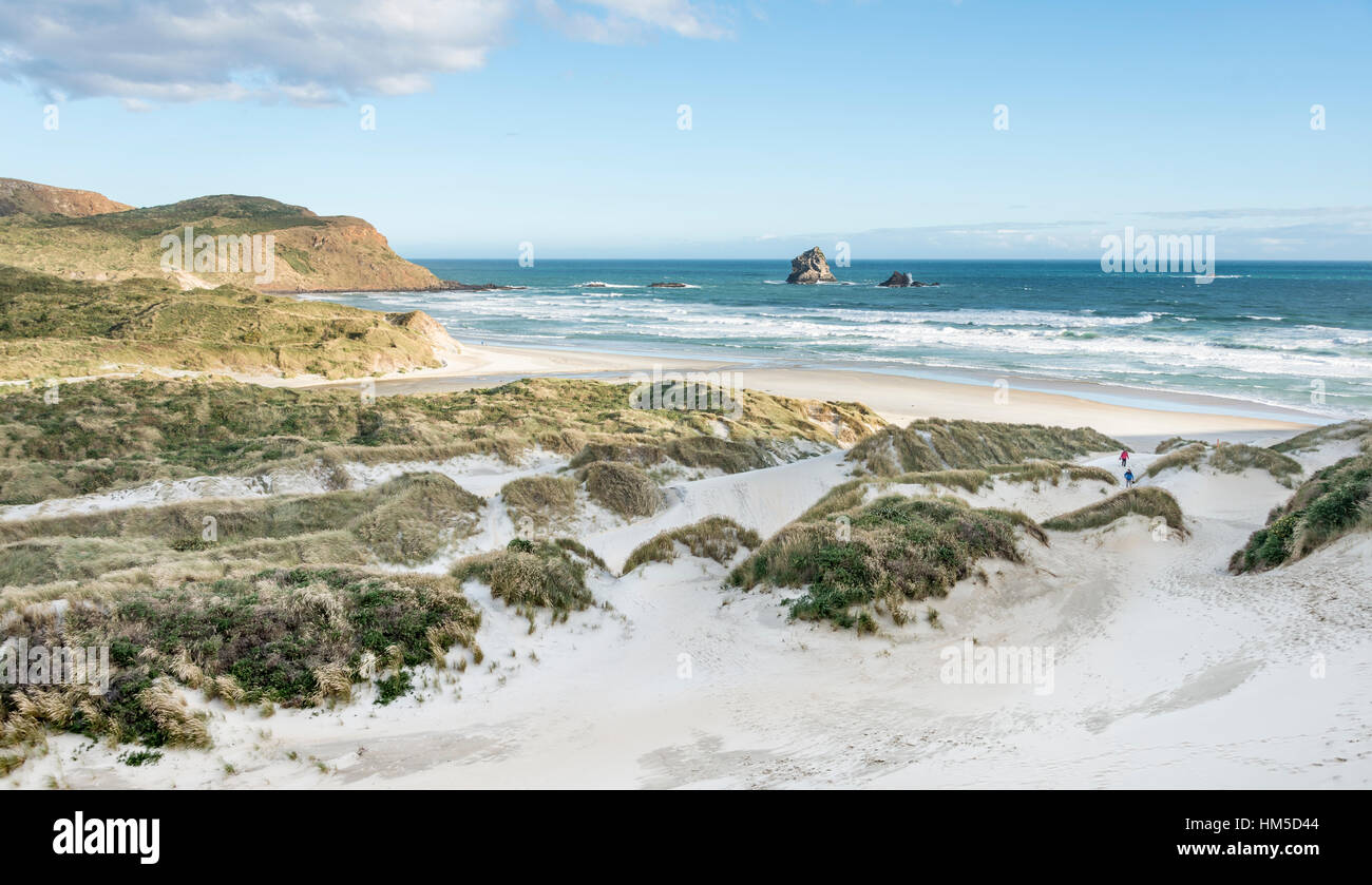 Sandfly Bay, Dunedin, Otago Peninsula, Southland, Neuseeland Stockfoto