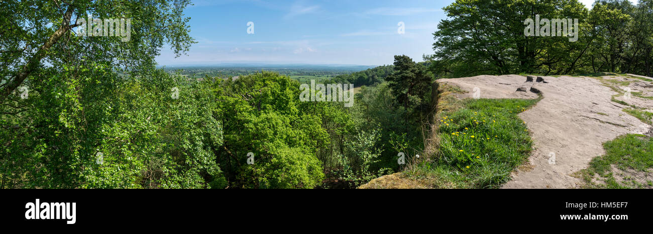 Blick über die Baumwipfel an Alderley Edge, Cheshire an einem sonnigen Sommertag. Stockfoto