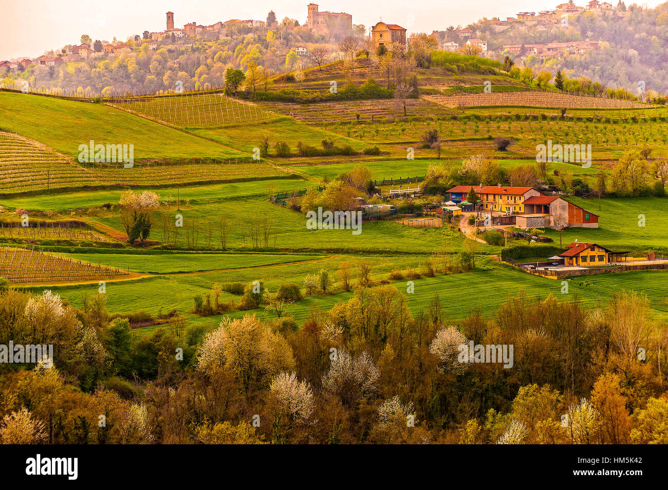 Italien Piemont Provinz von Asti Hügellandschaft in der Nähe von
