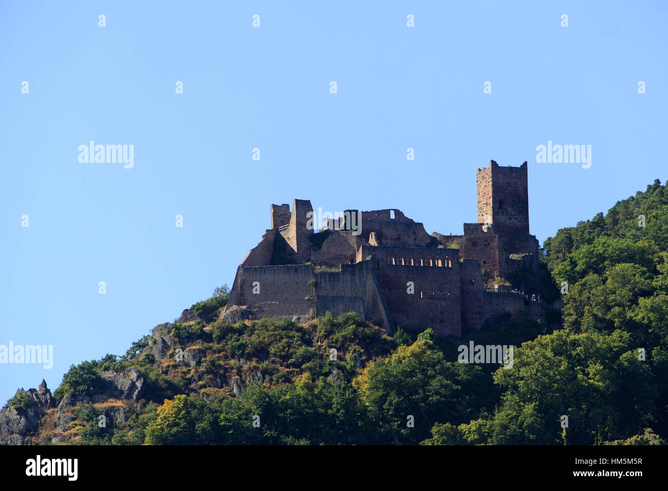 Chateau du haut ribeaupierre Fotos und Bildmaterial in hoher