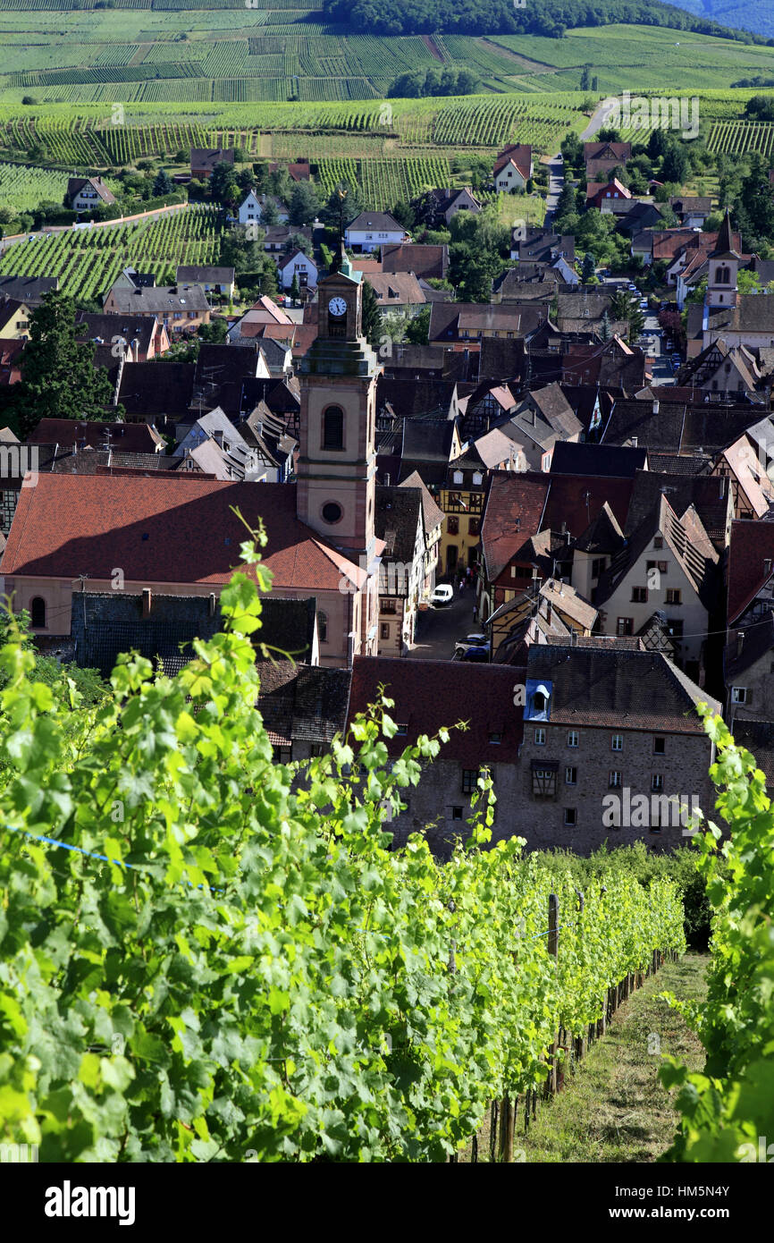 Vue Aérienne Sur le Village et Les Vignobles. Riquewihr.  F 68 Stockfoto