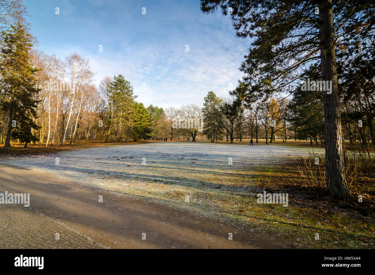 Tiergarten, Central Stadtgarten in Berlin, Deutschland Stockfoto