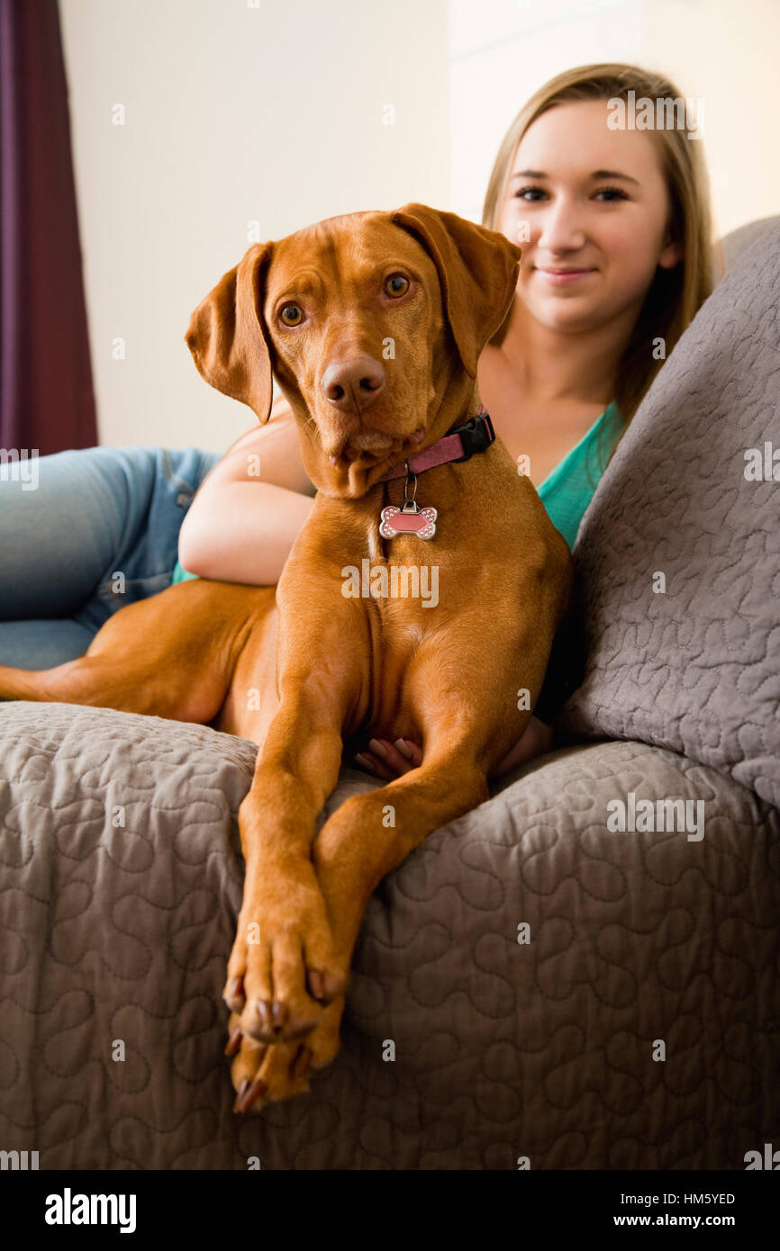 Teenager-Mädchen (16-17) auf Sofa liegend mit brauner Vizsla Hund Stockfoto