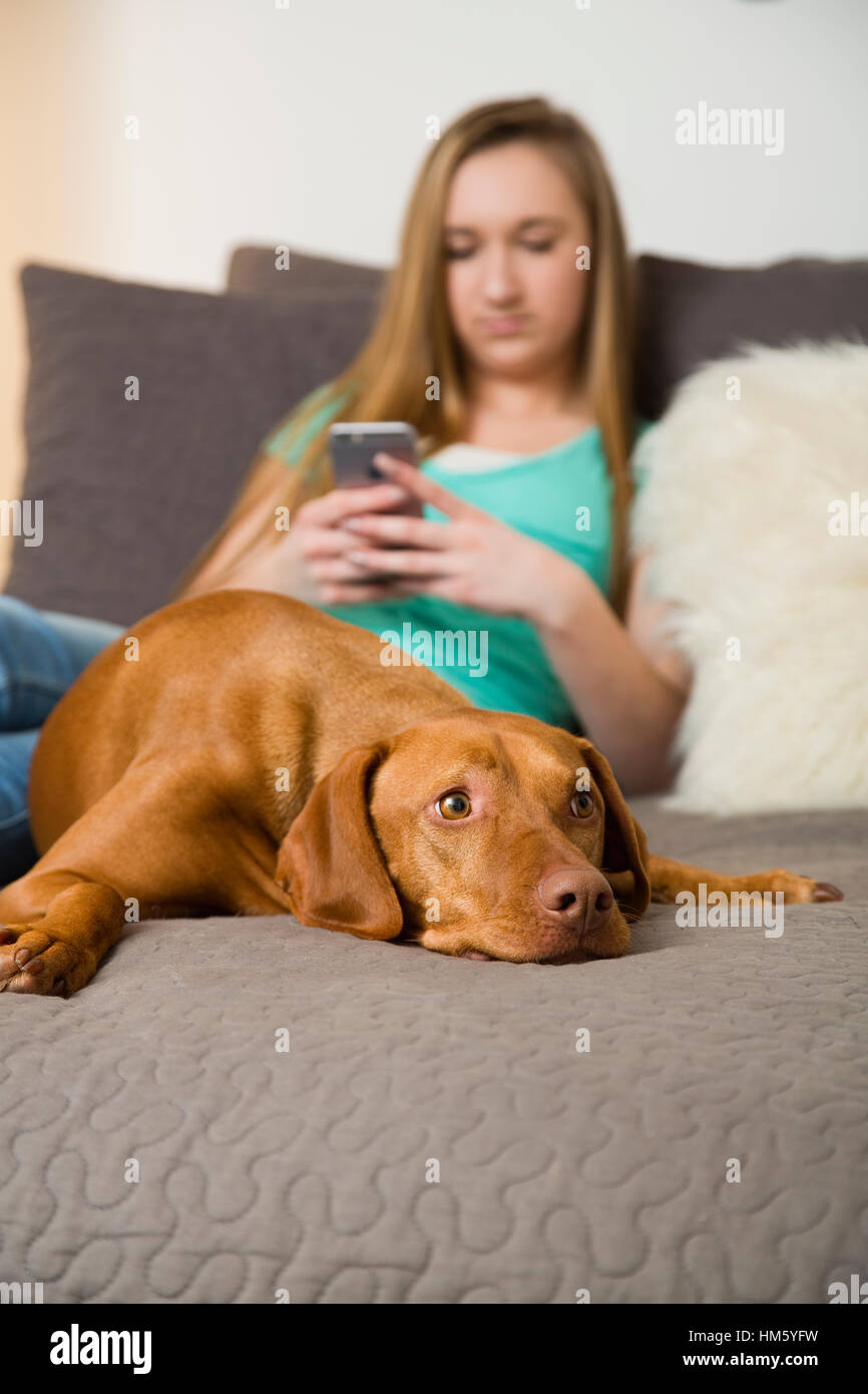 Teenager-Mädchen (16-17) auf Bett liegend mit brauner Vizsla Hund und mit Smartphone Stockfoto