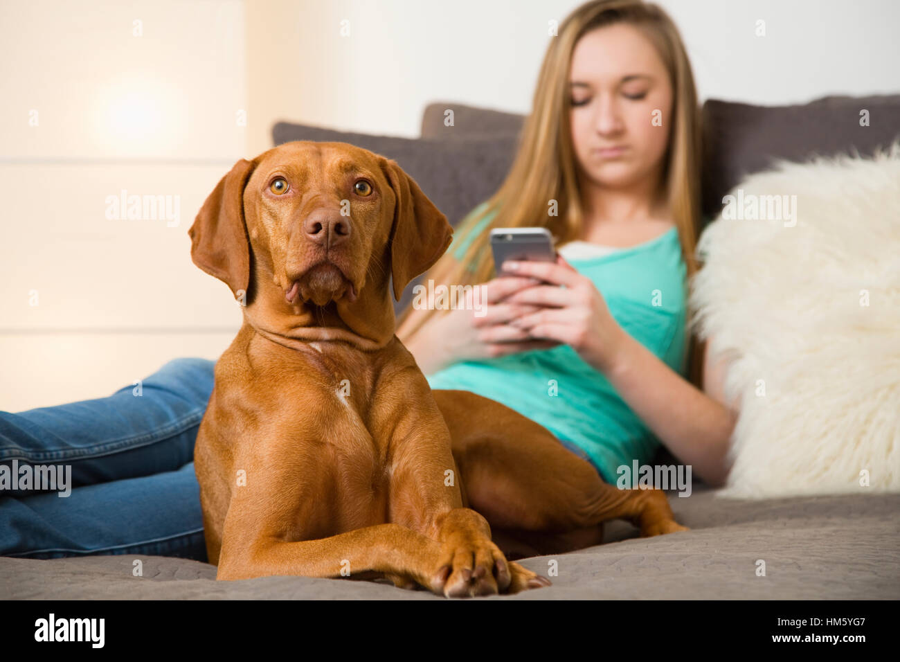 Teenager-Mädchen (16-17) auf Bett liegend mit brauner Vizsla Hund und mit Smartphone Stockfoto