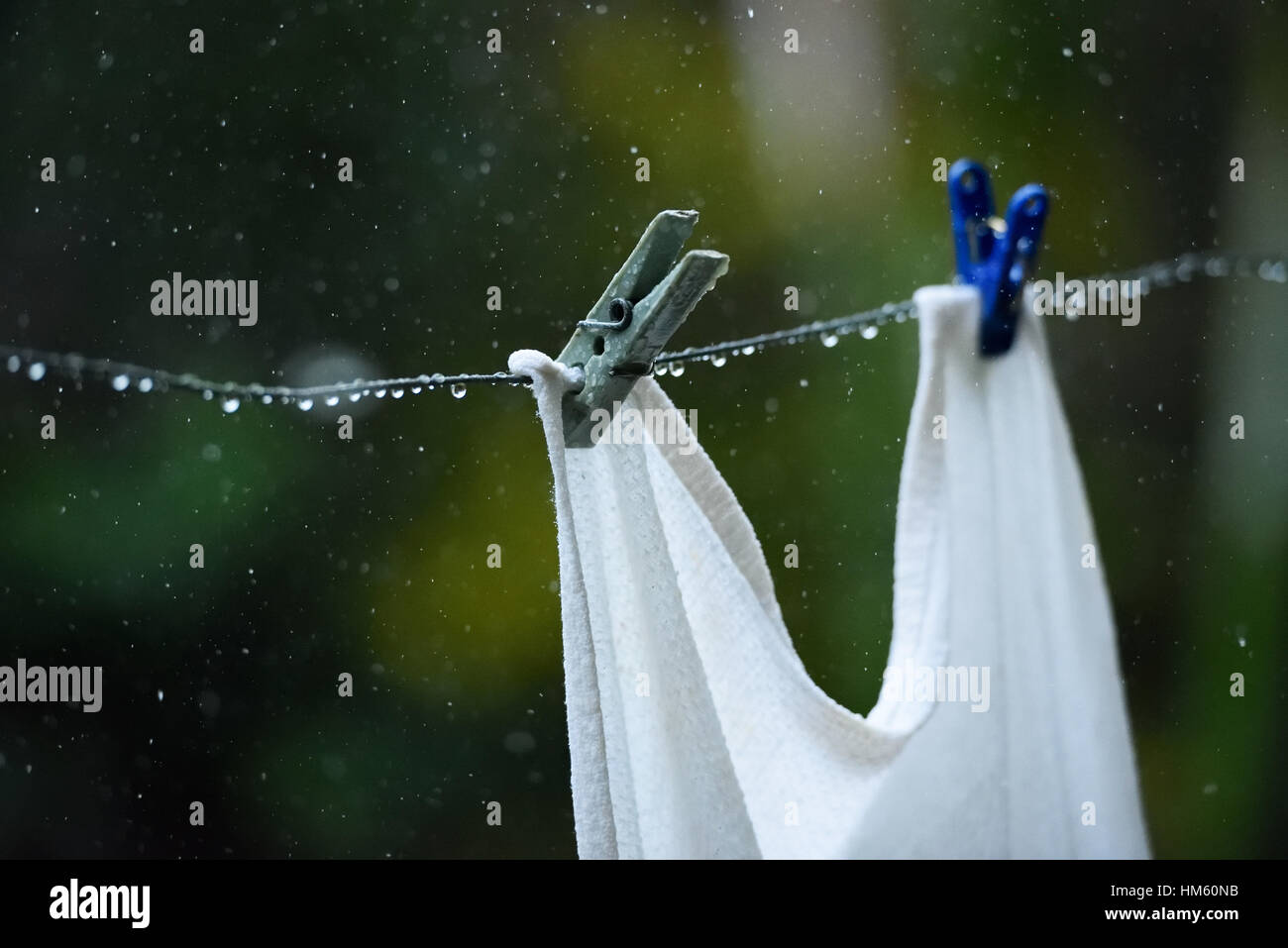 nassen Wäscheklammer hautnah während Sommerregen Stockfoto