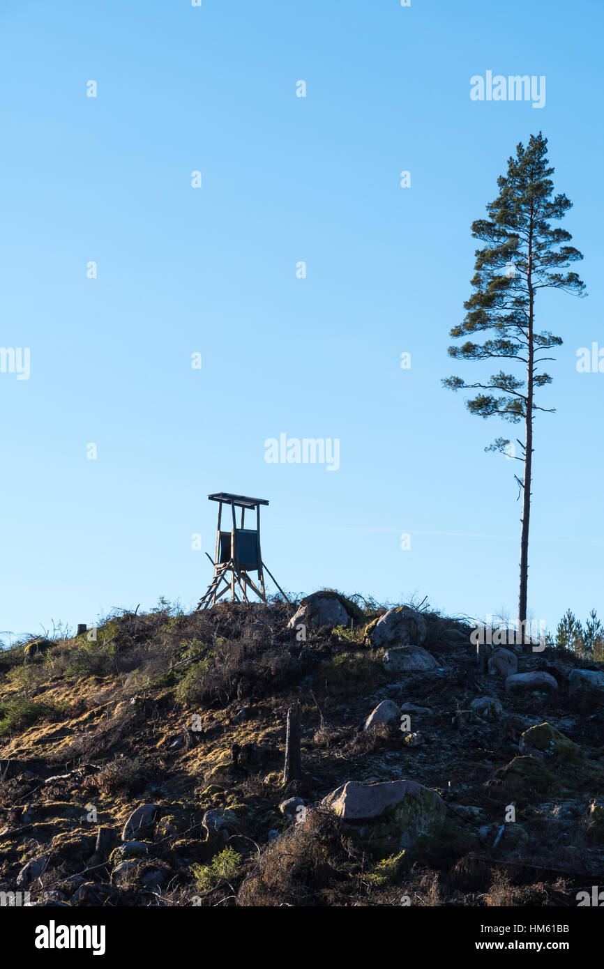 Jagd-Turm auf einem Hügel in einem klaren Schnitt Waldgebiet Stockfoto