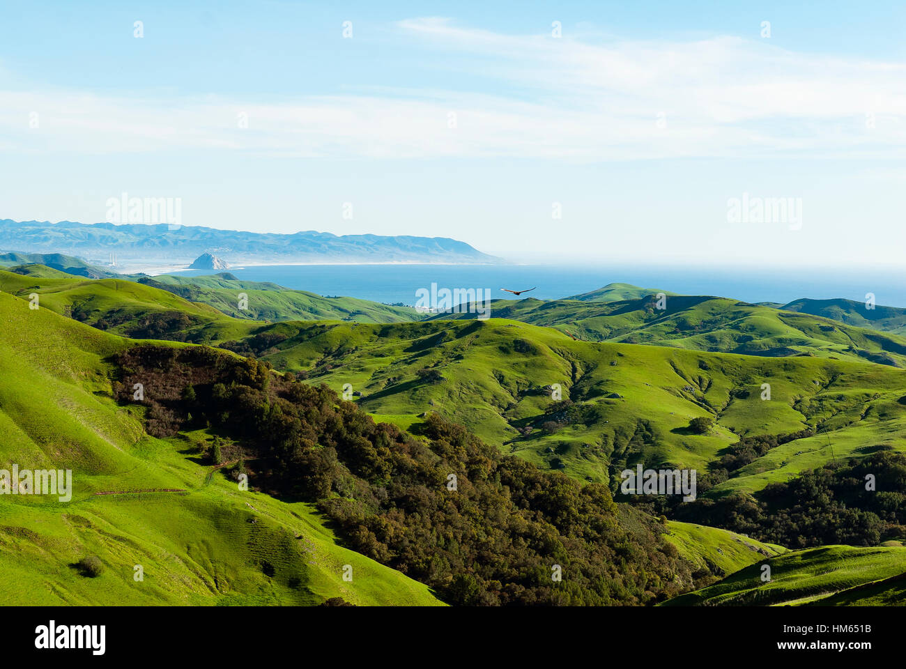 San Luis Obispo Morro Bay im Frühjahr Stockfoto