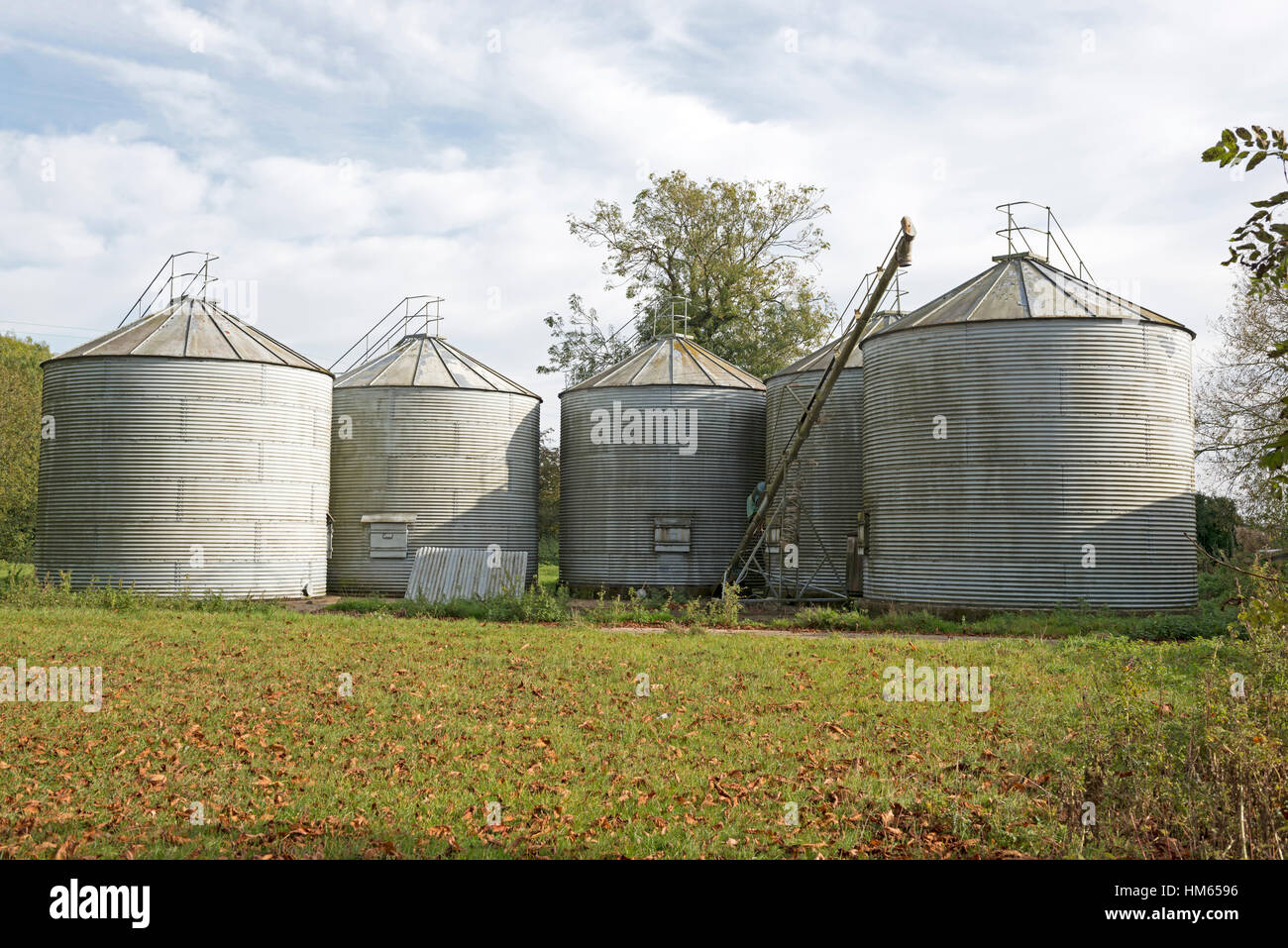 Stillgelegten Getreidesilos, Shelland, Suffolk, UK. Stockfoto
